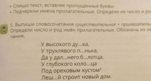 Выпиши словосочетания существительное плюс прилагательное Определить число род имён существительных