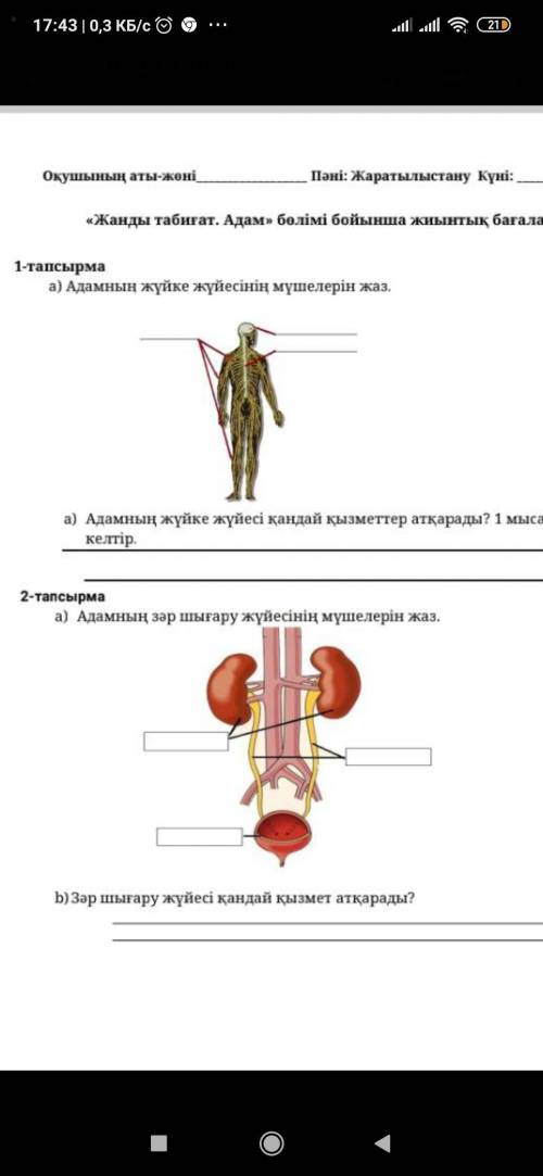 Адамнын жуйке жуйесинин мушелерин жаз.барине комектесип жиберндерш