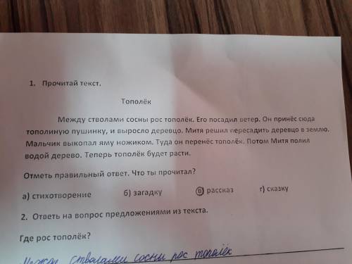 Как найти в тексте родственные слова, надо выписать?