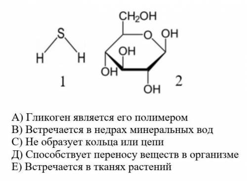 Опираясь на рисунок, выберите 2 правильных утверждение для вещества на рисунка №2 А) Гликоген являет