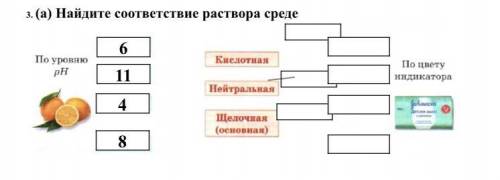 Найдите соответствие раствора среде