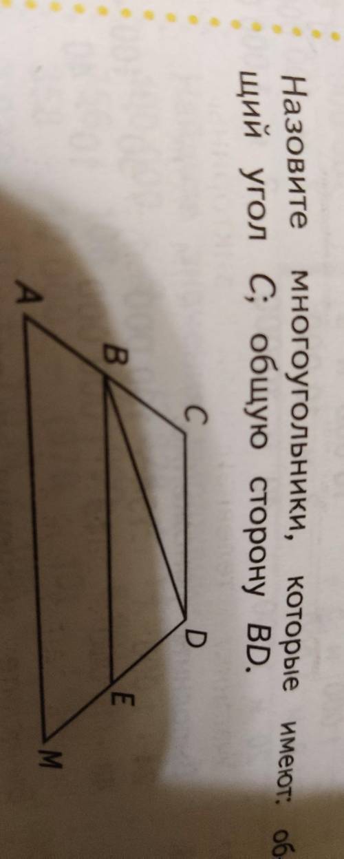 Назовитемногоугольники, которые имеют: об-щий угол С; общую сторону BD.