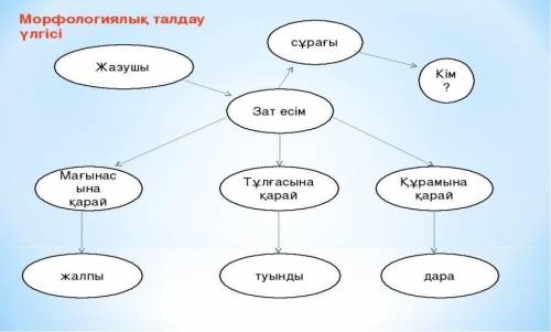 Үлгіге сәйкес кемінде 4 зат есімге морфологиялық талдау жасаңыз.