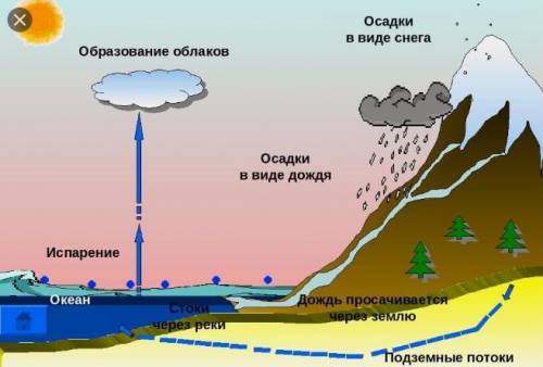 Прочитай предложение размести процесс образования дождя сверху вниз перемещая карточки​