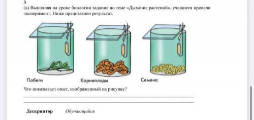 (а) Выполняя на уроке биологии задание по теме «Дыхание растений», учащиеся провели эксперимент. Ниж