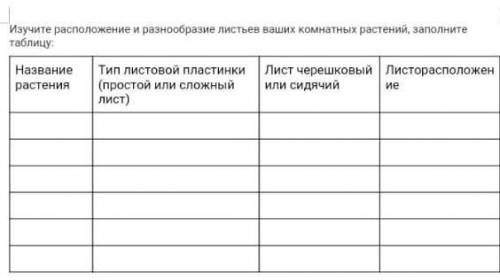 Изучив расположение и разнобразие листьев ваших комнатных растений,заполните таблицу.​