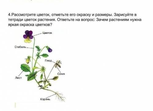 Кто тому подписка + просто умоляю врямя (у меня) 2 часа ночи, а я всё это делаю ​