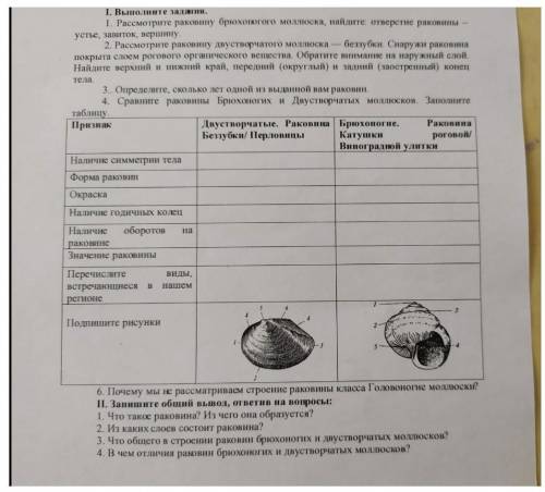 Здравствуйте, умоляю с таблицей и выводом . желательно кратко и понятно. заранее