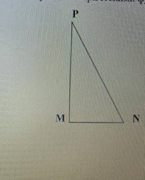 Дан прямоугольный треугольник MNP с прямым углом M. Установите соответствие между отношениями сторон