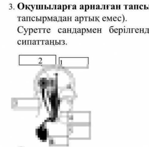 Суретте сандармен берілгендерді атауымен жазып сипаттаңыз​