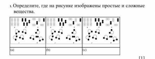 Определите где На рисунке изображены простые и сложные вещества​