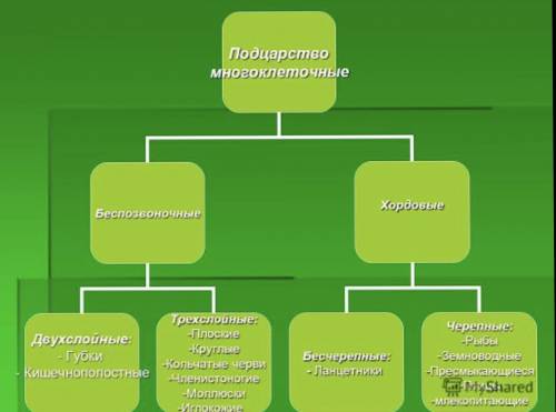 Постройте схему «Классификация животных», используя слова многоклеточные Многоклеточные Беспозвоночн
