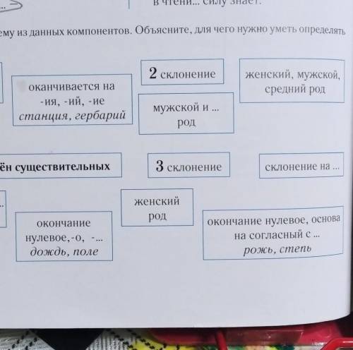 162. Составьте схему из данных компонентов. Объясните, для чего нужно уметь определять ТИП склонения