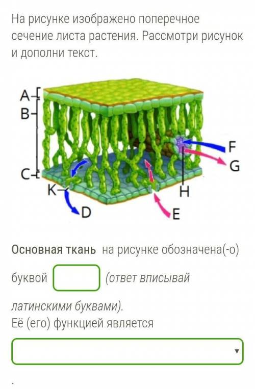 РЕБЯТА БИОЛОГИЯ 6 КЛАСС ​