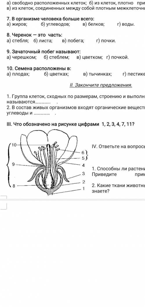 Что обазначена чифрами на рисунке