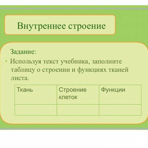 Внутреннее строение Задание: Используя текст учебника, заполните таблицу о строении и функциях ткане