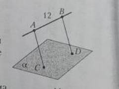 Точки C и D принадлежат плоскости альфа, AB параллельна BD, AB =12. Найдите расстояние между точками