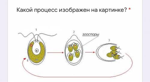 Какой процесс изображён на картинке?Картинка на фото