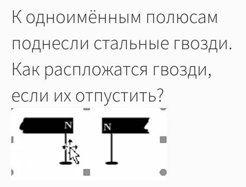 К одноимённым полюсам поднесли стальные гвозди. Как распложатся гвозди, если их отпустить? ​