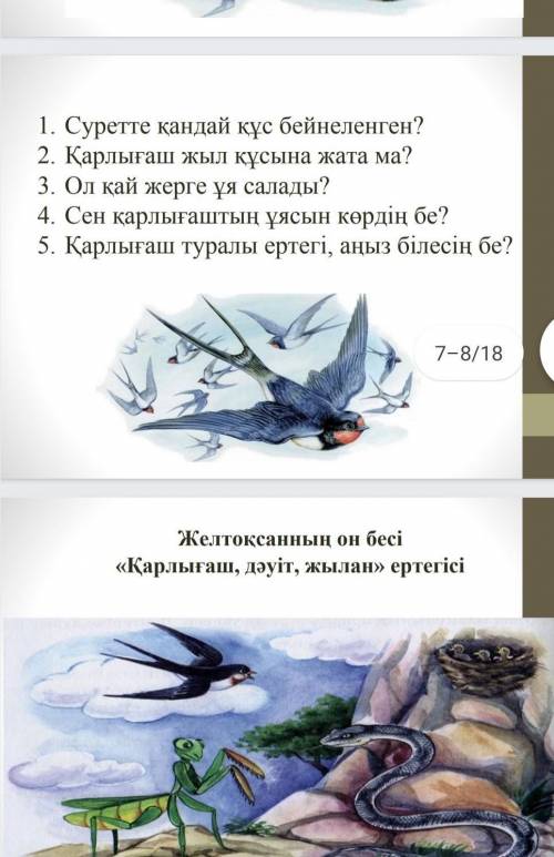 1.Суретте кандай кус ​