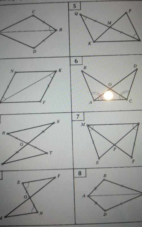 Нацдите пары равных треугольнтков и докажите их равенство​