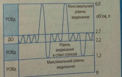 Уважно розгляньте спірограму та визначте такі показники: дихальнийоб'єм; резервний об'єм вдиху; резе