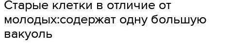 Старые клетки в отличие от молодых: меньше по размеру содержат одну большую вакуоль делиться содержа