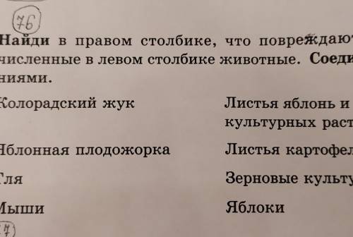 Найди в правом столбике, что повреждают перечисленные в левом столбике животные . Соедини линиями. ​