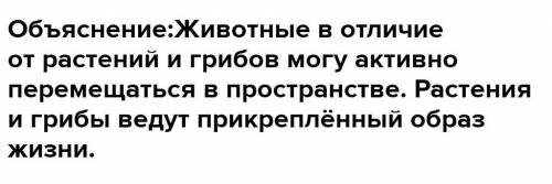 Выпишите название объекта выпадающего из ряда животных, растений и грибов​