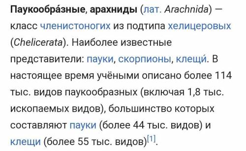 У большинства паукообразных брюшко состоит из неоднородных члеников образовано сходным по строению