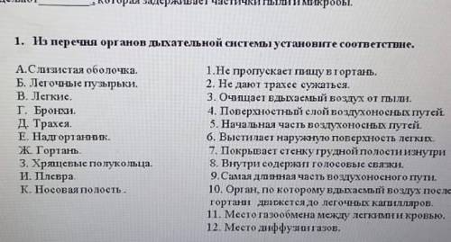 Из Перечня органов дыхательной системы установите соответствие​