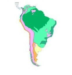 Подпишите природные зоны Южной Америки (укасите стрелочками расположение каждой природнойзоны)