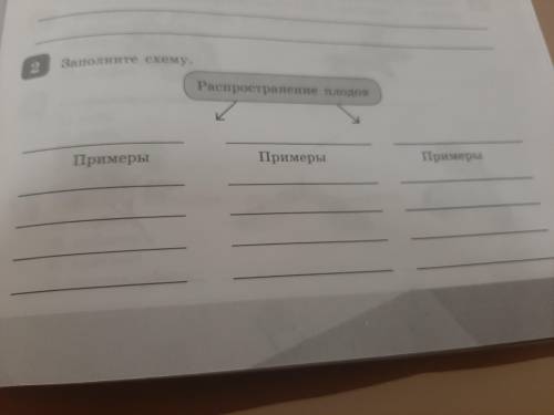 Заполните схему распростронение плодов 13 параграф 6 класс автор только сивоглазов