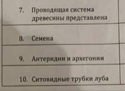 Последние два , написать различия голосеменных и покрытосеменных в этих двух пунктах