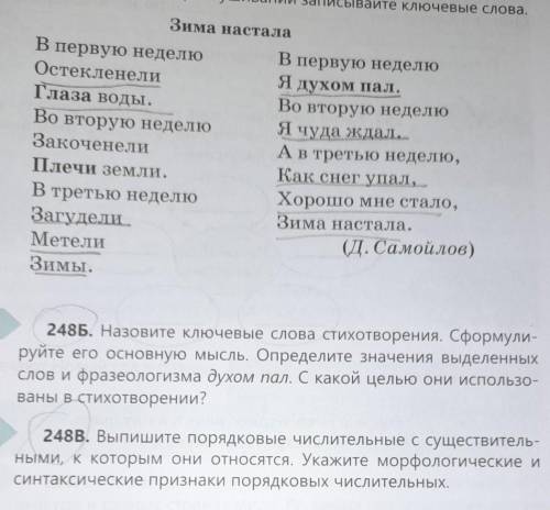 248В. Выпишите порядковые числительные с существитель- ными, к которым они относятся. Укажите морфол