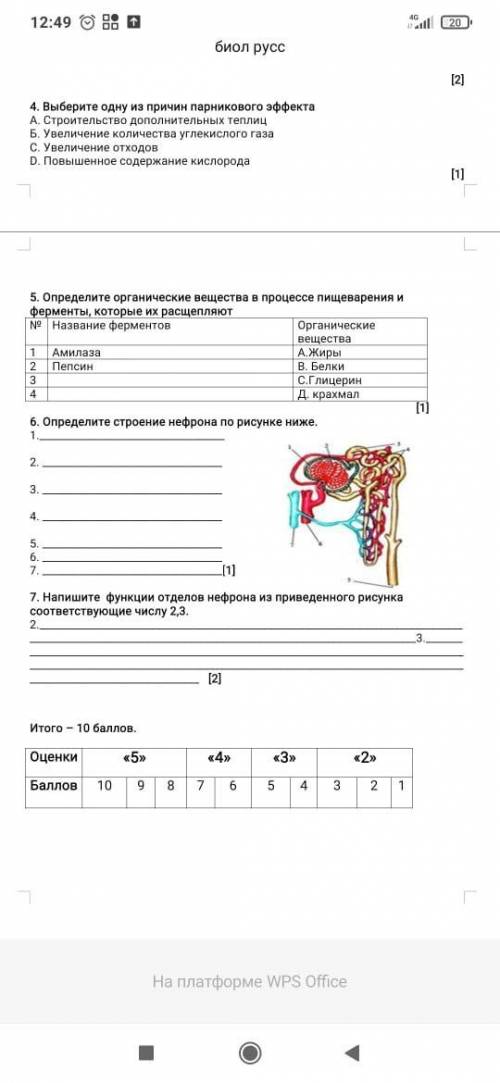 Срез знаний по биологии 9 класс за 1 полугодие 2020-2021 Задания на фото :