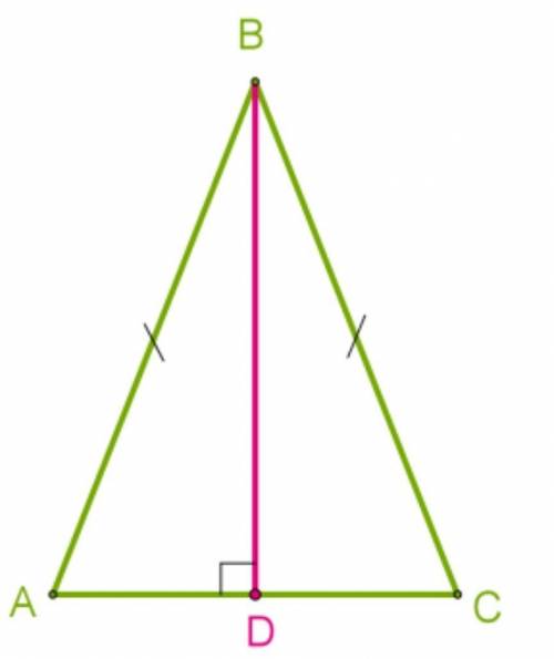 В равнобедренном треугольнике ABC проведена высота к основанию AC, длина основания равна 13 см, ∡ABD
