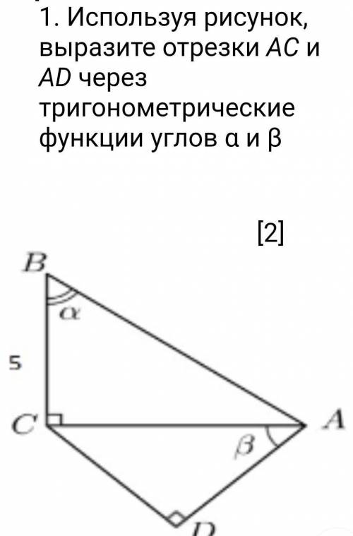 РЕШИТЬ❤❤❤❤❤❤❤ используя рисунок, выразите отрезки AC и AD через тригонометрические функции углов a и