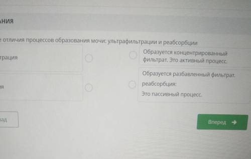 Определите отличия процессов образования мочи: ультрафильтрации и реабсорбции​