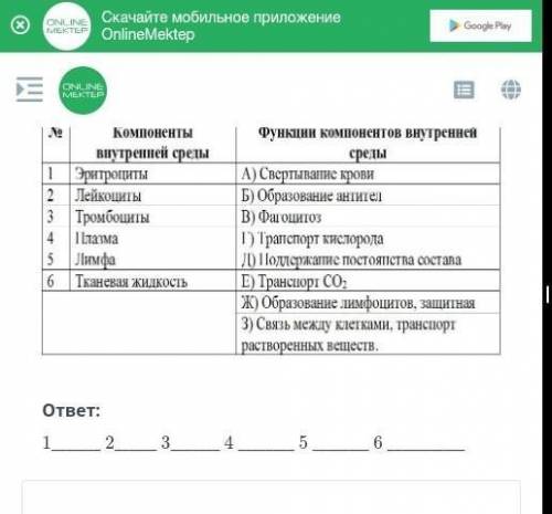 Сотносите компоненты внутренней среды организма с их функциями