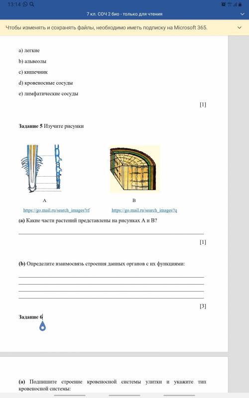 Какие части растений представлены на рисунках A и B? [1] (b) Определите взаимосвязь строения данных