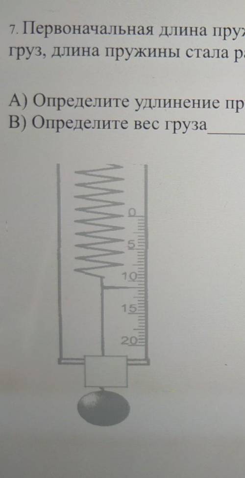 7. Первоначальная длина пружины без груза 12 см. После того, как был подвешен груз, длина пружины ст