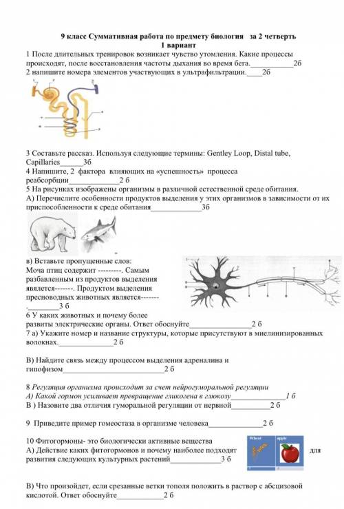 СОЧ ПО БИОЛОГИИ 9 КЛАСС