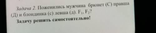 Нужно решить правильно одну задачу. Задача 2. Поженились мужчина брюнет (С) правша(Д) и блондинка (c