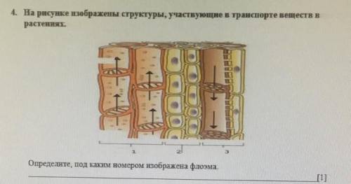 2 рое скажите умаляю​