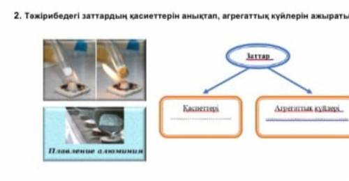 Тажирибедеги заттардын касиеттерин аныктап агргаттык куйлерин ажыратыныз ​