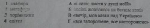 Установіть відповідність​