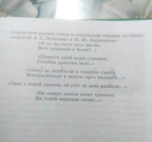 пример: — — —/— — —/— — — . можете сделать в тетради и прислать только