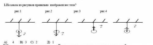 На каком из рисунков правильно изображен вес СОЧ ПО ФИЗИКЕ 7 КЛАСС​