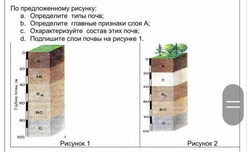 A. Определите типы почв; b. Определите главные признаки слоя А;c. Охарактеризуйте состав этих почв;d